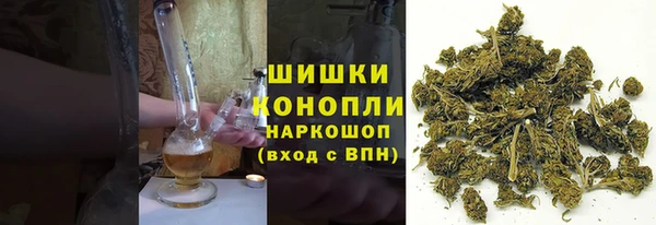 крисы Магадан