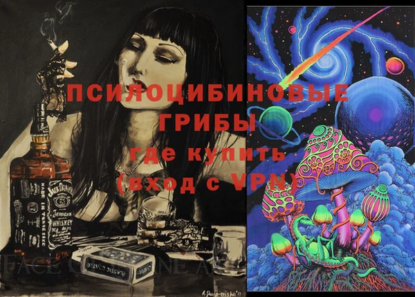 крисы Магадан