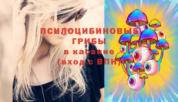 дмт Медногорск