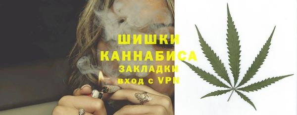 дмт Медногорск