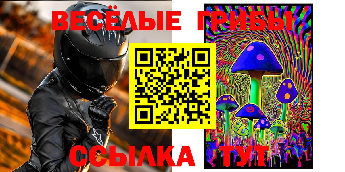 Элиста  Галлюциногенные грибы мицелий  Вход с VPN 