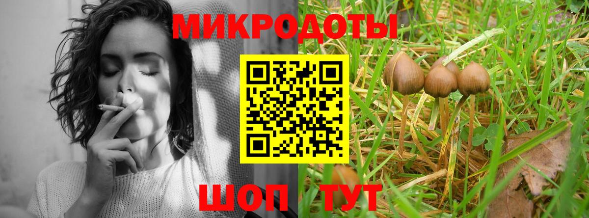 Галлюциногенные грибы Cubensis Элиста