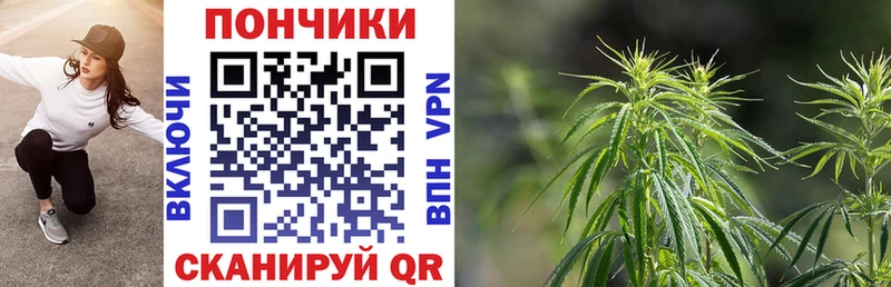 магазин продажи наркотиков  Элиста  блэк спрут зеркало  Бошки Шишки Ganja 