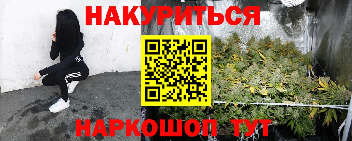 Бошки марихуана конопля Элиста